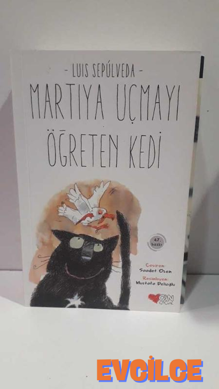 martıya uçmayı öğreten kedi