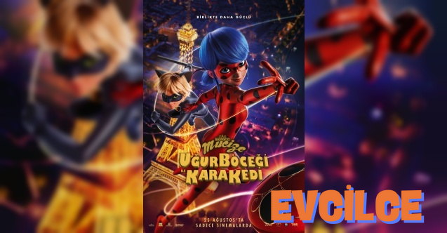 mucize uğur böceği ile kara kedi filmi